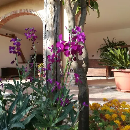 Farm stay Casa Di Scina Agriturismo